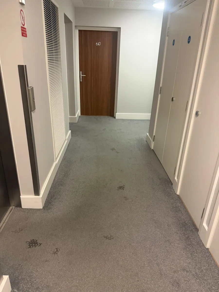 Communal corridor carpet outside a flat entrance with dark spotting and traffic marking through the pile